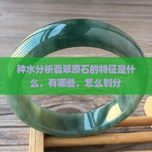 种水分析翡翠原石的特征