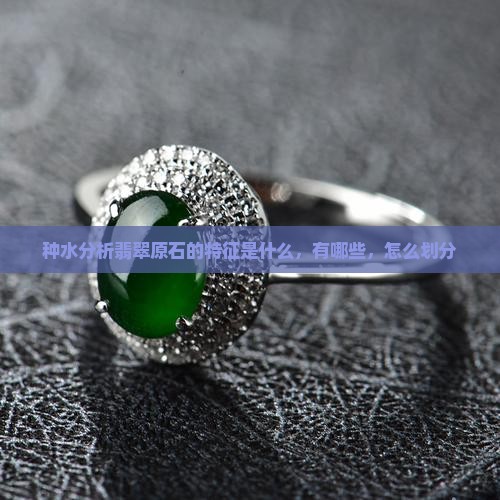 种水分析翡翠原石的特征