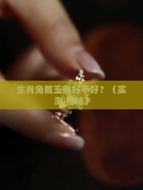 生肖兔戴玉佛好吗