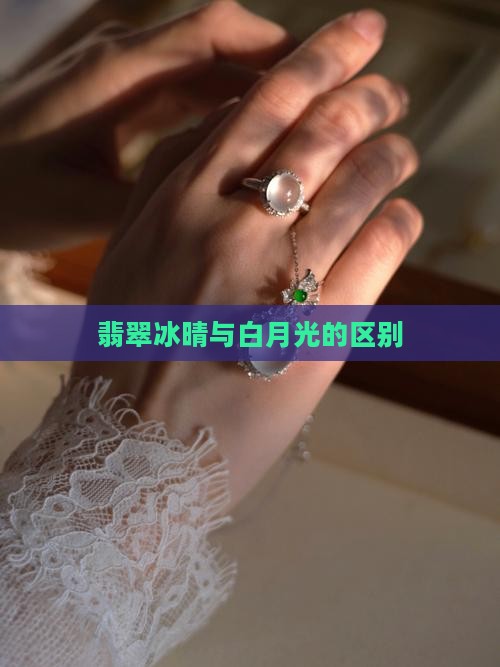 翡翠冰晴和白月光的区别