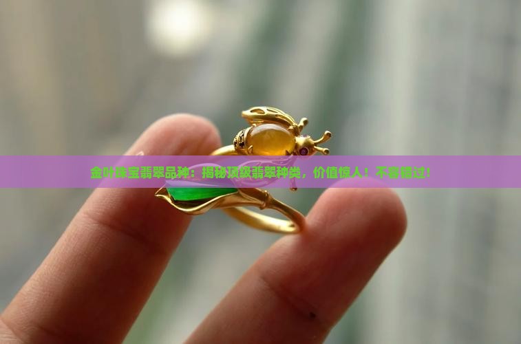 金叶珠宝翡翠品种