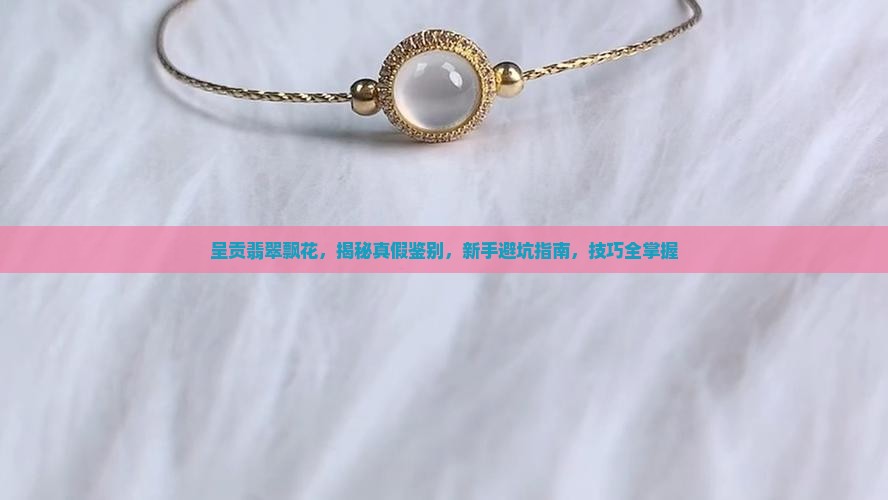 呈贡翡翠飘花