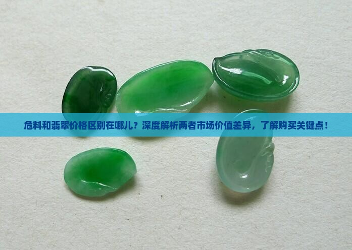 危料和翡翠价格区别在哪儿