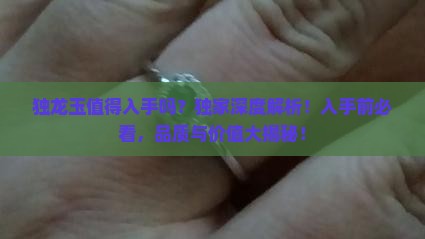 独龙玉值得入手吗