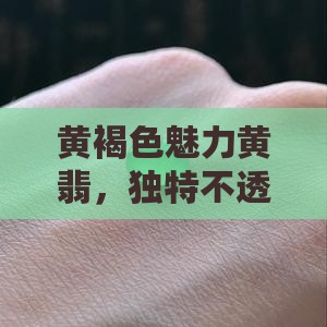 黄褐色魅力黄翡，独特不透明翡翠之美