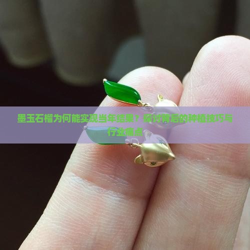 墨玉石榴为何能实现当年结果？探讨背后的种植技巧与行业痛点
