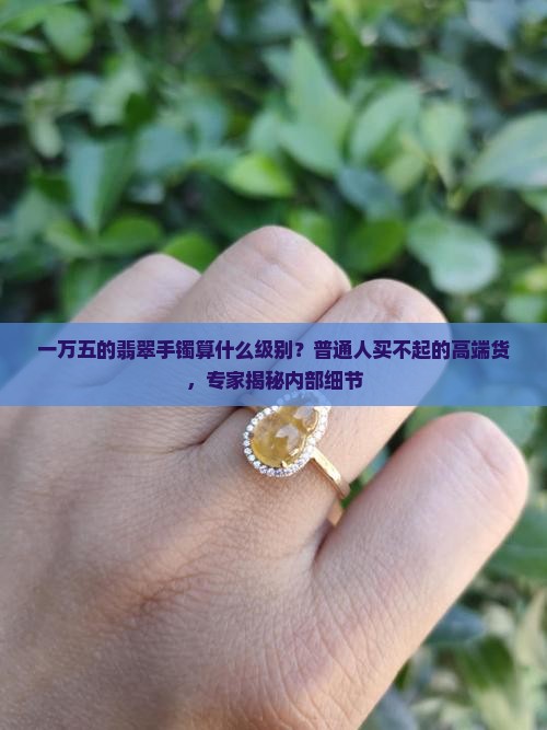 一万五的翡翠手镯算什么级别？普通人买不起的高端货，专家揭秘内部细节