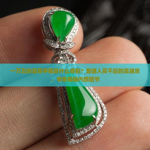 一万五的翡翠手镯算什么级别？普通人买不起的高端货，专家揭秘内部细节