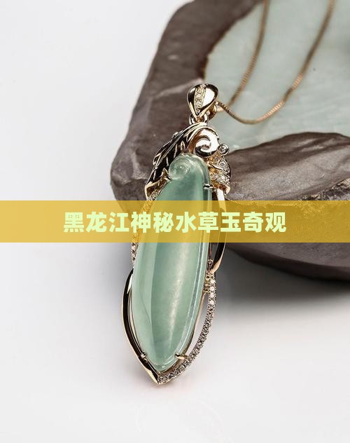 黑龙江神秘水草玉奇观