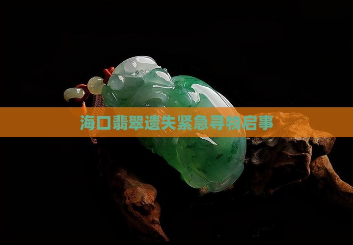 海口翡翠遗失紧急寻物启事