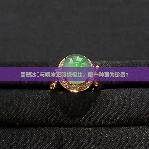 翡翠冰種与糯冰正阳绿相比，哪一种更为珍贵？