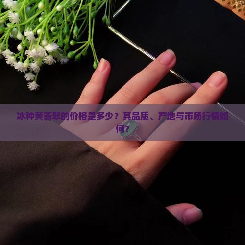 冰种黄翡翠的价格是多少？其品质、产地与市场行情如何？