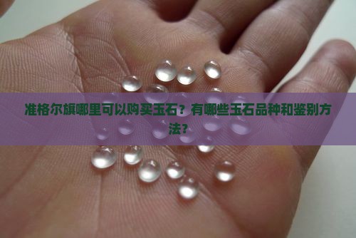准格尔旗哪里可以购买玉石？有哪些玉石品种和鉴别方法？