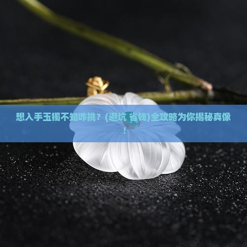 想买玉镯啥样的好咋样挑选