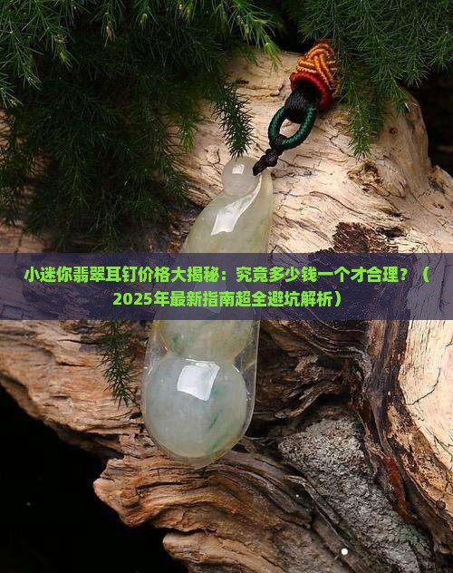 小迷你翡翠耳钉多少钱一个啊