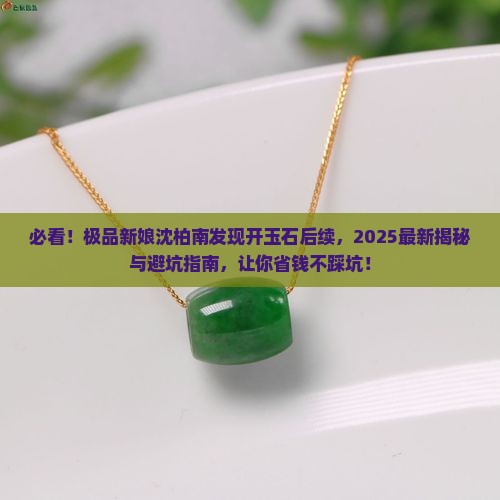 极品新娘沈柏南发现开玉石后续