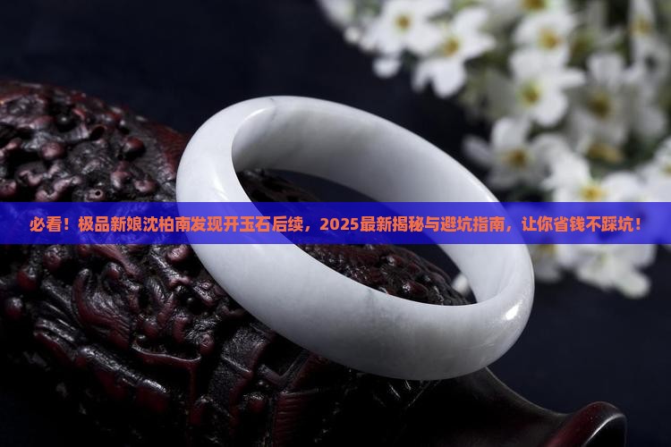 极品新娘沈柏南发现开玉石后续