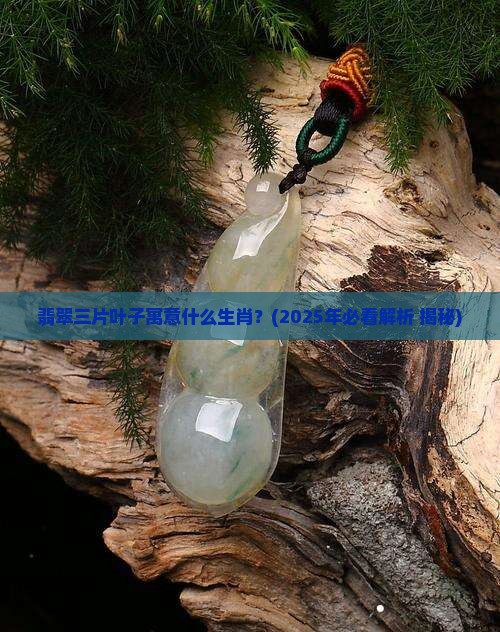 翡翠三片叶子寓意什么生肖