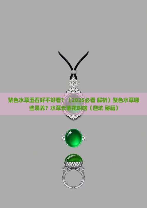 紫色水草玉石好不好