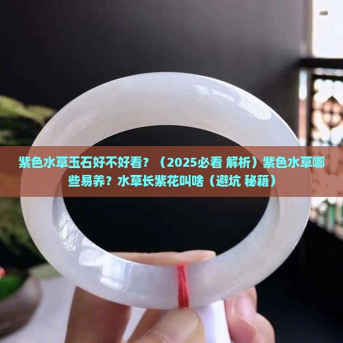 紫色水草玉石好不好