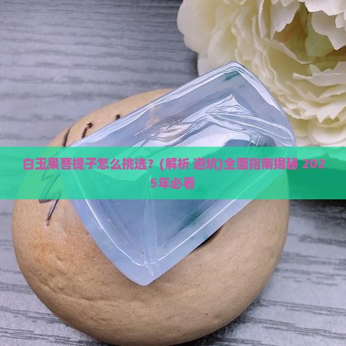 白玉果菩提子 白玉果菩提子
