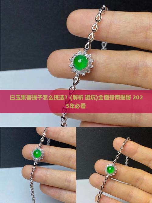 白玉果菩提子 白玉果菩提子