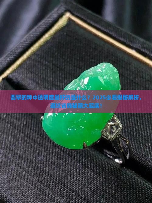 翡翠的种中透明度最好的是什么