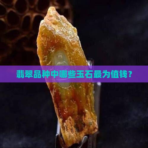 翡翠有什么玉石值钱的品种 翡翠有什么玉石值钱的品种