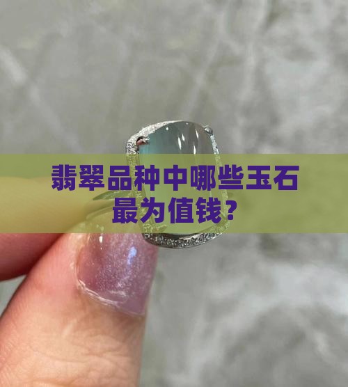 翡翠有什么玉石值钱的品种 翡翠有什么玉石值钱的品种