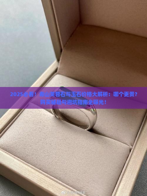 寿山芙蓉石和玉石哪个贵一点