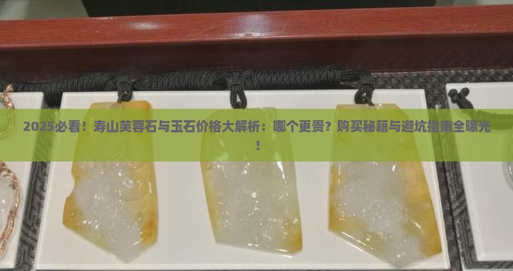 寿山芙蓉石和玉石哪个贵一点