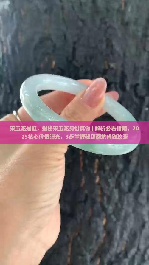 宋玉龙是谁