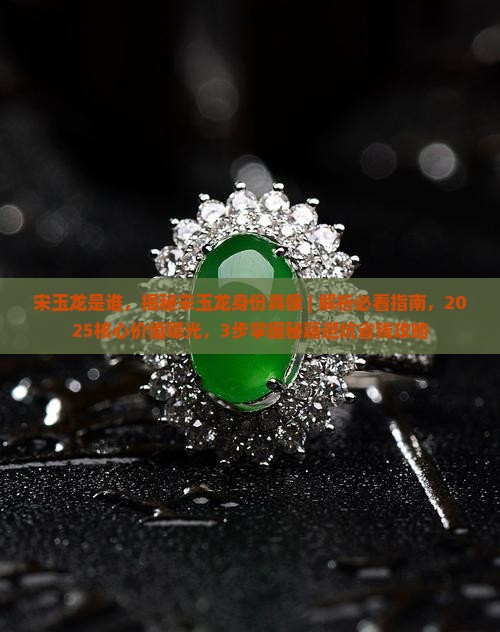 宋玉龙是谁