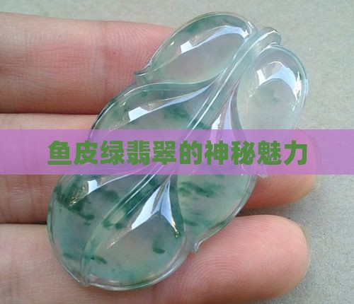 鱼皮绿翡翠