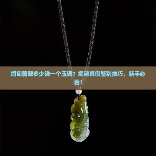 缅甸翡翠多少钱一个玉镯