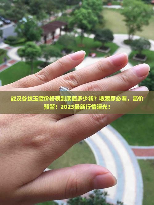战汉谷纹玉璧价格表