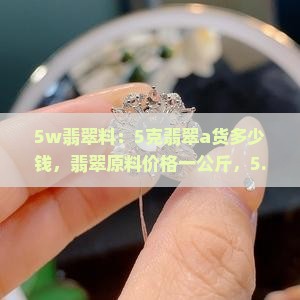 5w翡翠料
