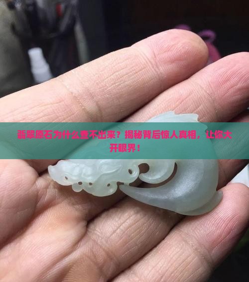 翡翠原石为什么查不出来