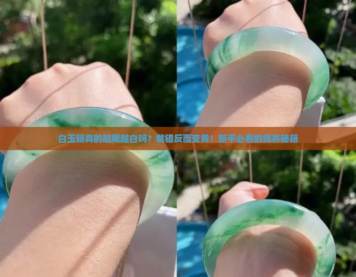 白玉髓越戴越白