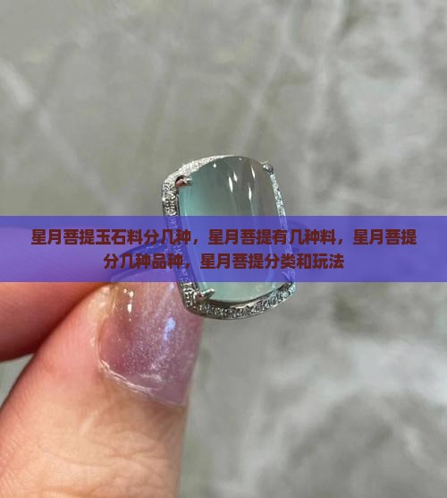 星月菩提玉石料分几种
