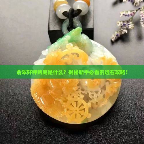 翡翠好种指什么意思