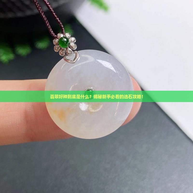 翡翠好种指什么意思