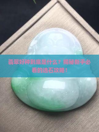 翡翠好种指什么意思