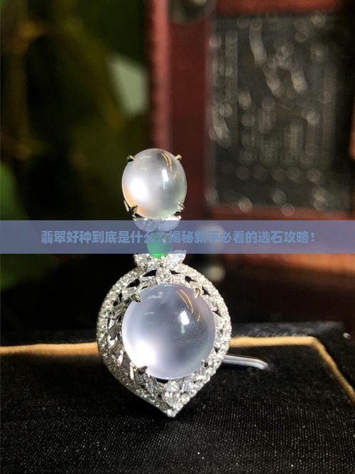 翡翠好种指什么意思