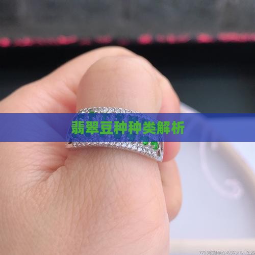 翡翠豆种晶体
