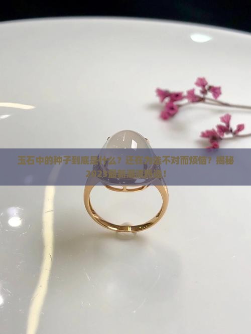 玉石中的种子