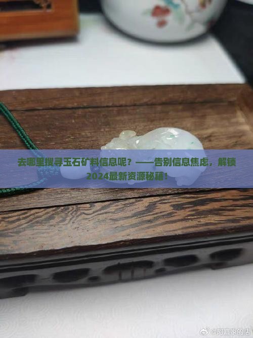 去哪里搜寻玉石矿料信息呢
