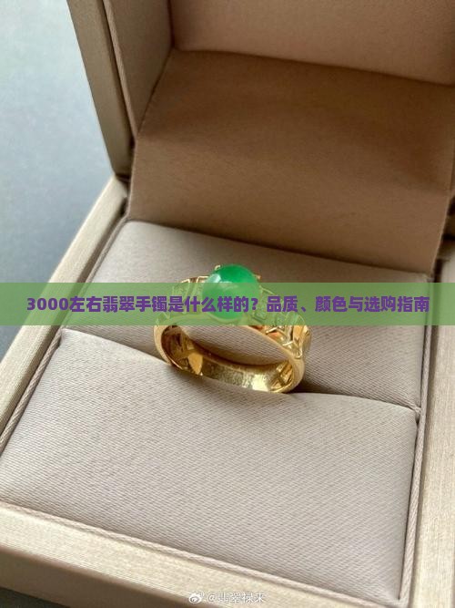 3000左右翡翠手镯是什么样的