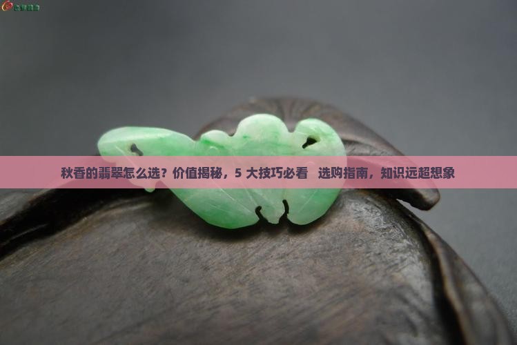 秋香的翡翠