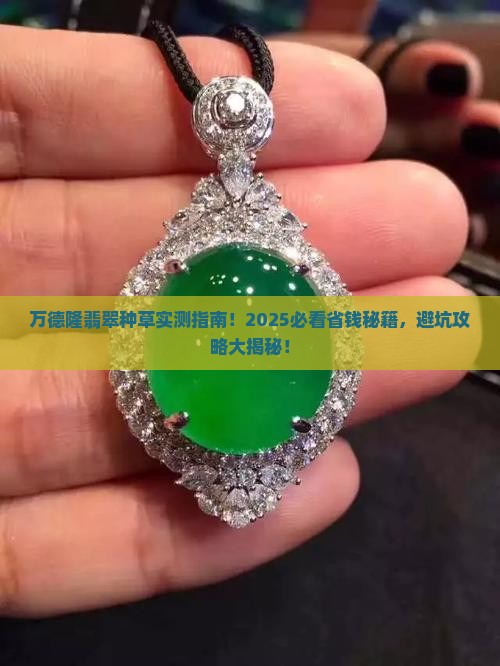 万德隆翡翠种草怎么样